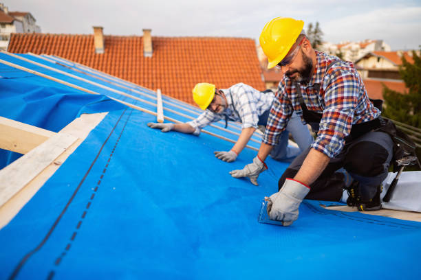 Best Rubber Roofing (EPDM, TPO)  in Sullivan, IL